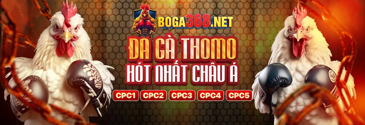 Hình ảnh chính VN582 Link Truy Cập Chính Thức 2024