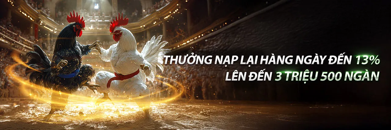 Đá gà trực tuyến VN582 liên kết vào 2026
