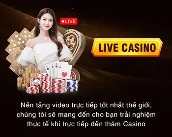 Cấp độ VIP Bạch Kim của vn582