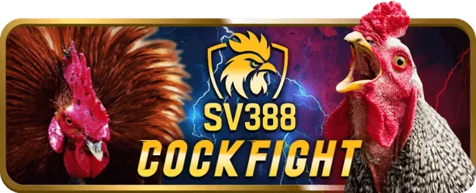 Cá cược Thể Thao vn582